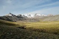 A green-yellow vegetation bed covers the bottom of a valley in a flat but desertish landscape below a snow-covered ridge