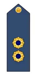 Colonel