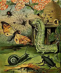 One of the illustrations for F. A. S. Reid's Comic Insects, 1882