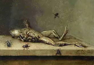 Image 25Dead Frog with Flies by Ambrosius Bosschaert II, c. 1630 (from Frogs in culture)