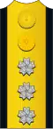 Naval shoulder insignia