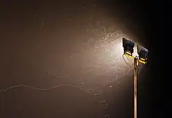Many insects fly towards a work light.