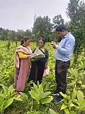 Inspection for organic certification for Lakadong Turmeric In presence of Trinity Saioo