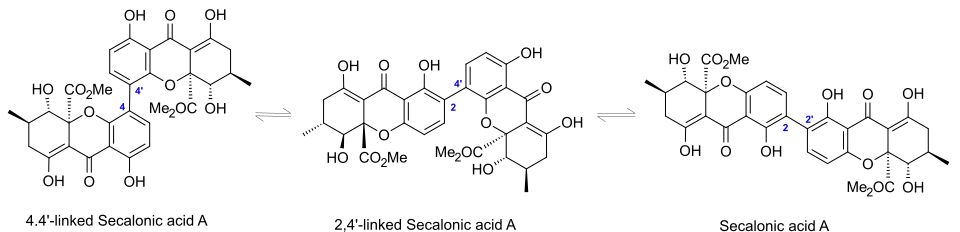 Isomerisation of 2,2’-, 2,4’-, and 4,4’-linked Secalonic acid A