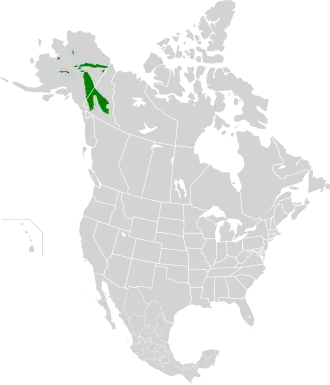 Ecoregion territory (in green)