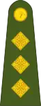 Captaen Irish Army