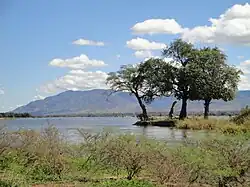 Looking across the Zambezi River to the Zambezi Escarpment, Zambia, from Mana Pools National Park