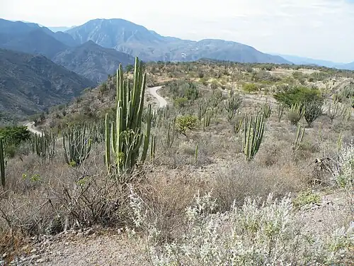 Habitat in east Guamúchil, Guanajuato