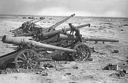 Italian guns captured in North Africa by the British.