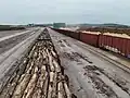 Railcars of lumber arriving at a sawmill in New Brunswick