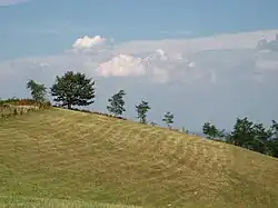 The top of the mountain Jablanik