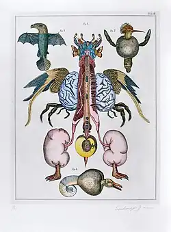 Natural Science, Tab. 2 (1973), etching