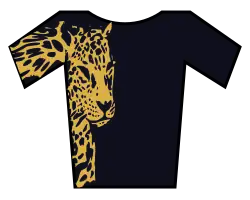Leopard jersey