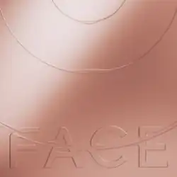 The lower portion of a copper-toned series of concentric circles, through one of which the word "Face" appears