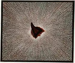 Varanus bengalensis (Turned)