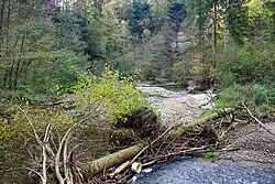 Tannertobel between Tann and Rüti