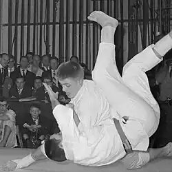 Gouweleeuw in January 1961