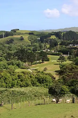 The rural landscape of Judgeford, with the golf course visible.