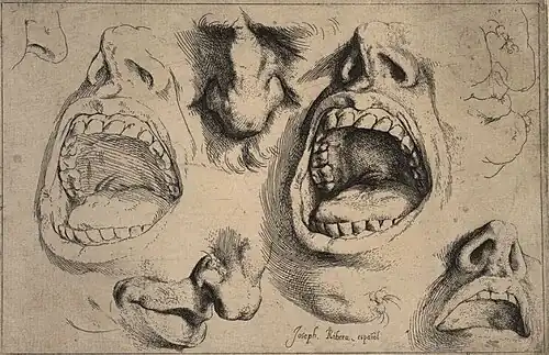 Studies of Noses and Mouths, ca. 1622, etching, 14.7 x 22.2&nbsp;cm.