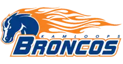 Team logo