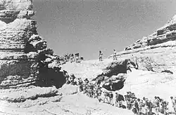 Members of the Palmach from Kfar Giladi on exercise. c. 1947