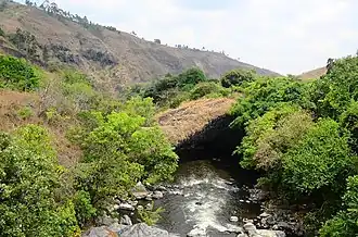 The Kiwira God's bridge