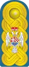 Vojvode epaulettes