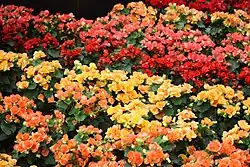 On display in Germany