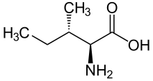 L-Isoleucine (Ile&nbsp;/&nbsp;I)