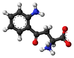 Ball-and-stick model of the L-kynurenine molecule as a zwitterion