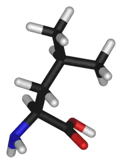 Chemical structure of Leucine