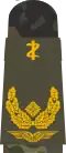 Generalarzt (dental medicine)