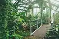 A greenhouse at the University of Latvia Botanical Garden