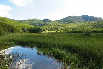 A partial view of a body of water, with grass on the shore and green mountains in the distance.