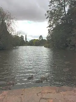 linear lake with submerged limestone paving visible in foeground and large trees at the far end. There are ducklings.