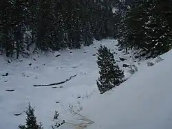 Lamar River, January 2009