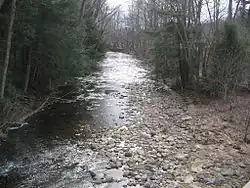 Larrys Creek passing through Anthony Township