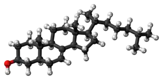 Ball-and-stick model of lathosterol