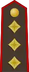 Pulkvedis[12] (Latvian Land Forces)