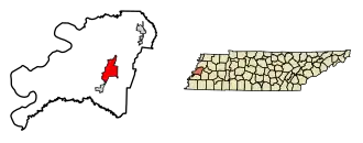 Location of Ripley in Lauderdale County, Tennessee.