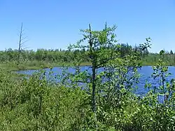 A la Barbotte Lake,[10] source of Gendron Creek, Laurentians, access by Route des Prairies