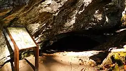 Layser Cave, Washington state, 2023