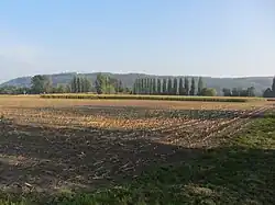 Ensemble de la Vieille Thielle