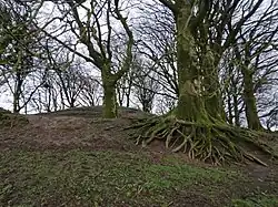 Northern embankments of the motte