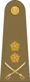 Lieutenant Colonel