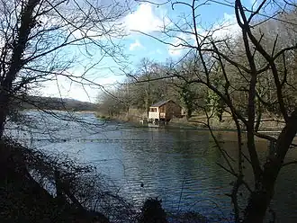 photo of water and trees