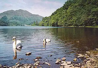 A lake with swans on it, surrounded by hills