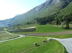 Loen with Hotel Alexandra in the distance