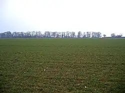 Long Belt, Beacon Hill, Colkirk, Norfolk.