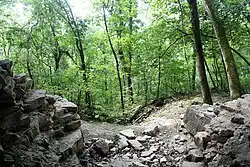 Looking out into the Ozark forest from the Bluff Shelter at the Ozark Natural Science Center